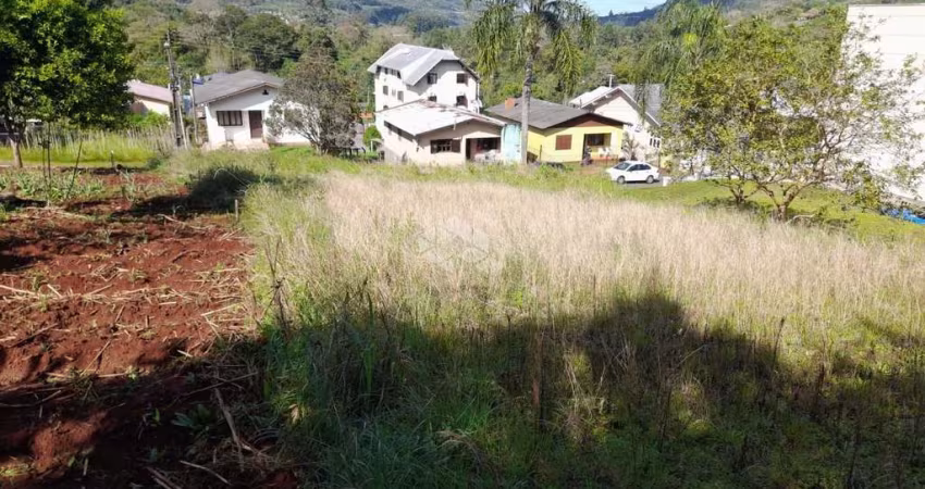 Belo terreno na serra gaúcha