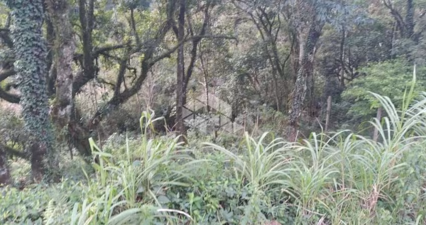 Terreno próximo ao centro em Nova Petrópolis