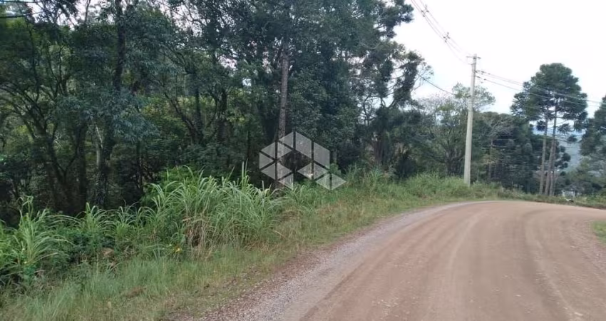 Terreno próximo ao centro em Nova Petróplis