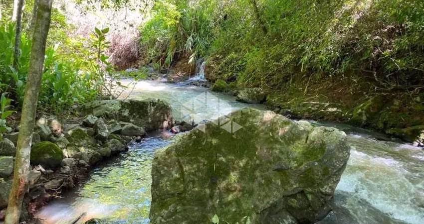 Linda área com Riacho na Serra Gaúcha