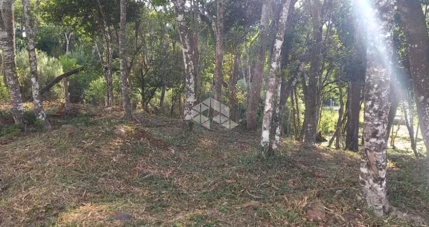 Excelente terreno amplo com boa frente