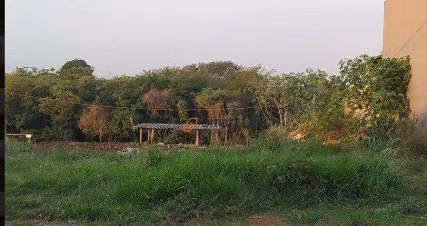 Terreno à venda, 250 m² por R$ 45.000,00 - Centro - Terra Roxa/PR