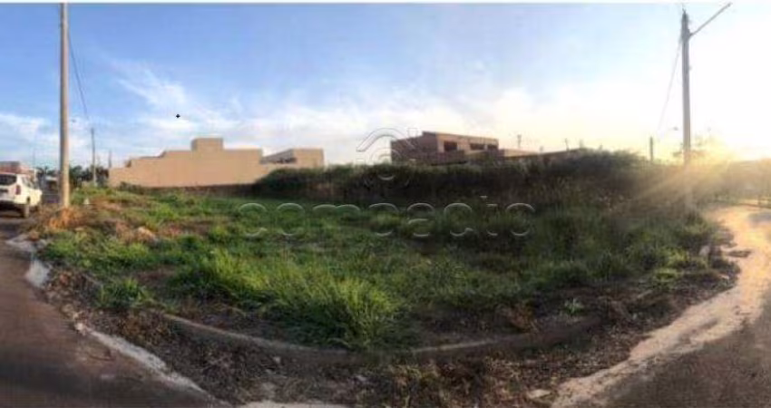 Terreno Padrão em Bady Bassitt