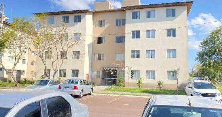 Apartamento com 3 dormitórios à venda, 60 m² por R$ 300.000,00 - Afonso Pena - São José dos Pinhais/PR