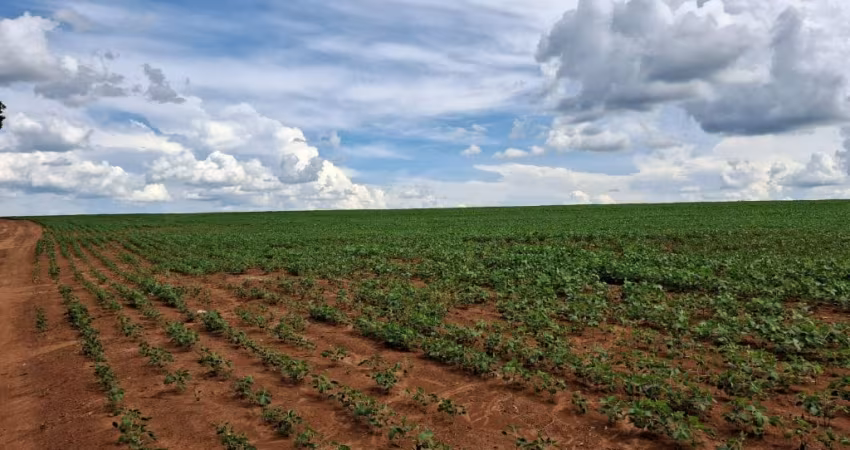 Fazenda 18 alqueires para cana a venda próxima a Usina