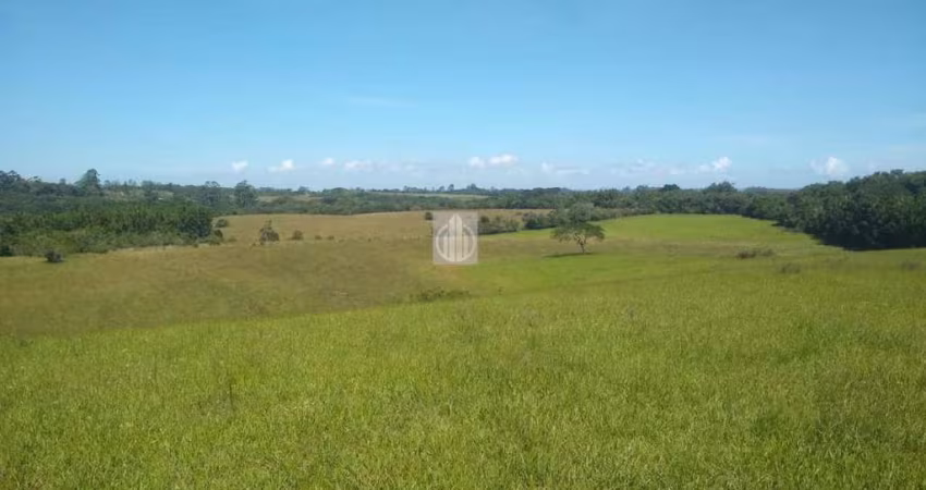 Chácara para Venda em Gravataí, Barro Vermelho