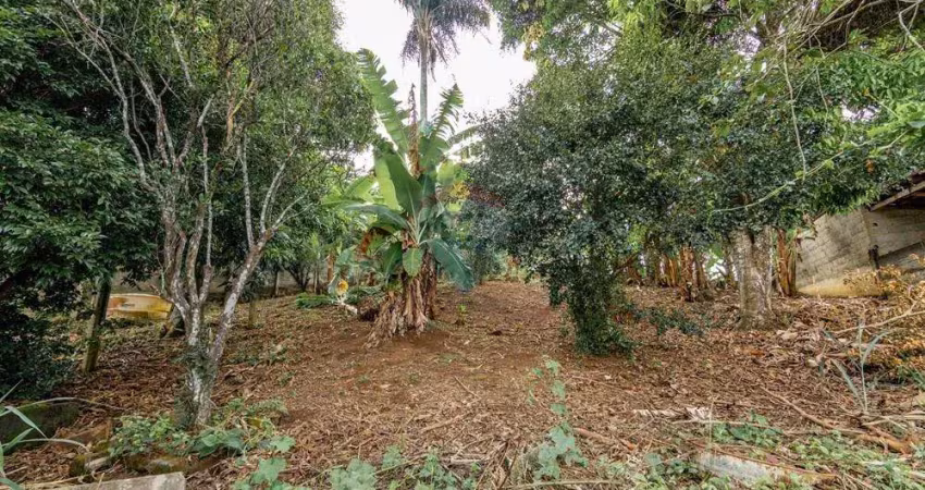 Terreno Espaçoso e Arborizado – Um Refúgio na Cidade