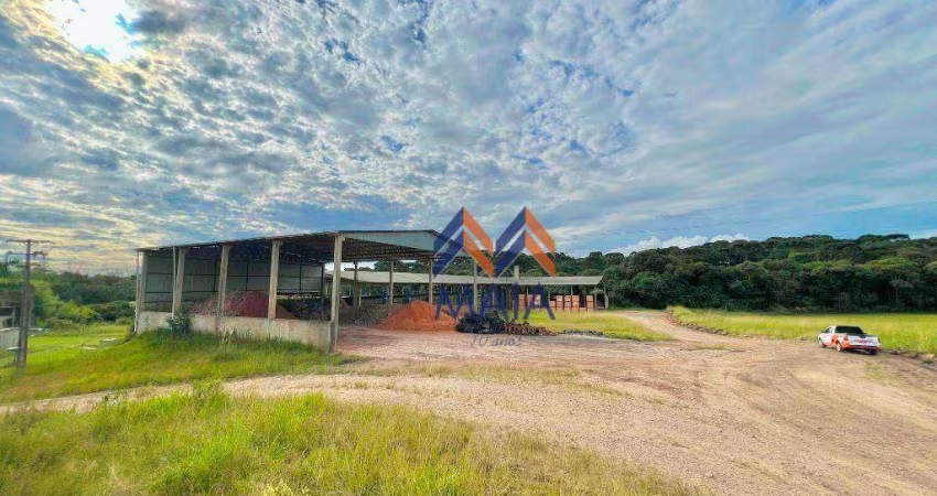 Galpão/Barracão para alugar, 7.000 m² por R$ 30.000/mês - São José dos Pinhais/PR