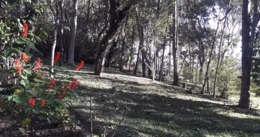 Sítio à venda em Suzano/SP