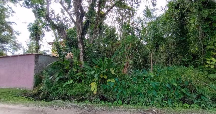 Terreno para Venda em São Sebastião, Boracéia