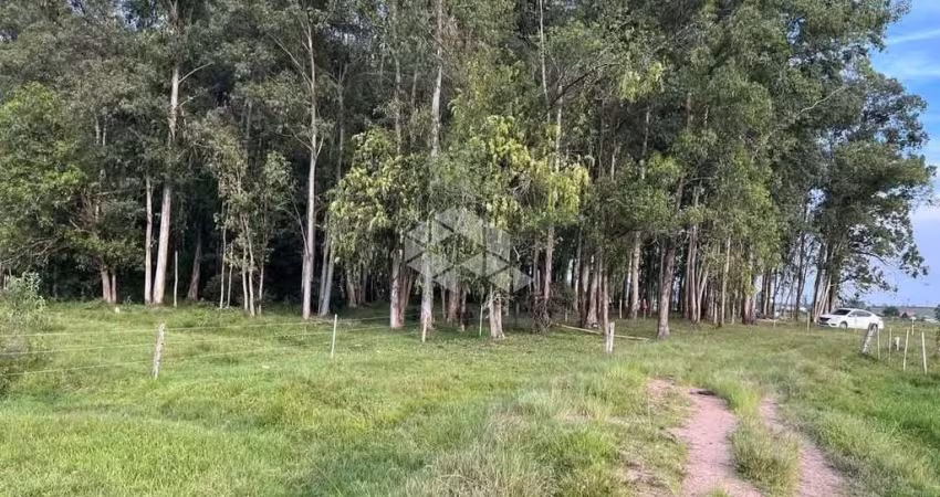 12 Hectares de terras, de boa qualidade no Douradilho
