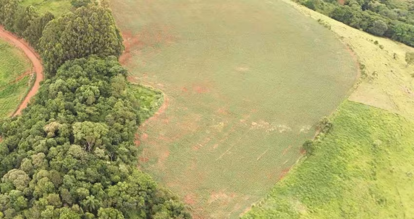 Sítio à venda apenas 10km de Guaraniaçu, PR