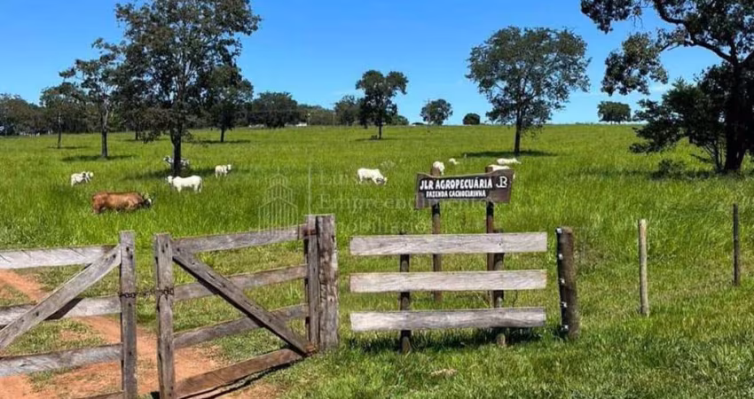 Fazenda à venda, ZONA RURAL, TERENOS - MS