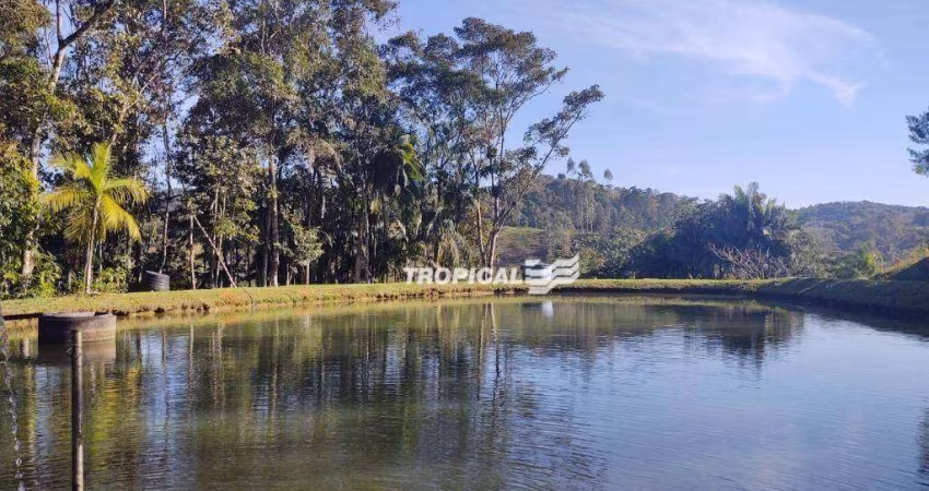 Sítio à venda, 75680 m² por R$ 640.000,00 - Vila Itoupava - Blumenau/SC