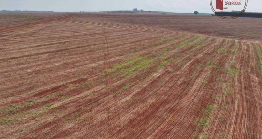 Fazenda à venda, 4477000 m² por R$ 250.000,00 o Alqueire - Zona Rural - Piraju/SP