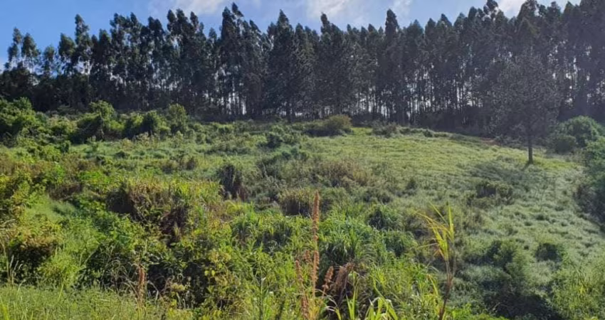 Imóvel Rural com 24 ha (Sítio Kabu) - Ortizes - Piedade - SP
