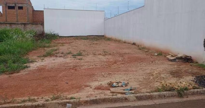 Terreno à venda, 250 m² por R$ 126.000 - Parque Alto das Palmeiras - Leme/SP