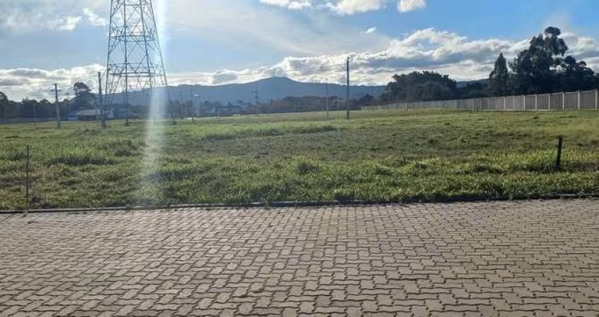 Excelente terreno!