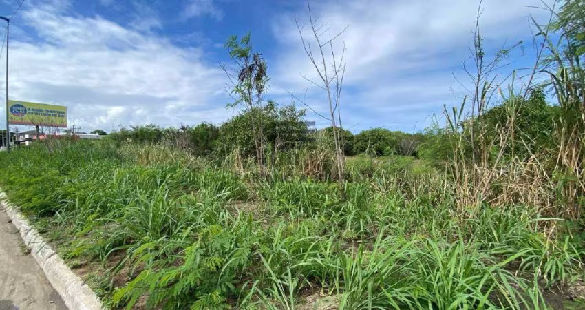 Área em Araruama - 9.620m2 - R$ 3.000.000,00 (Localização Estratégica) - Ponte dos Leites
