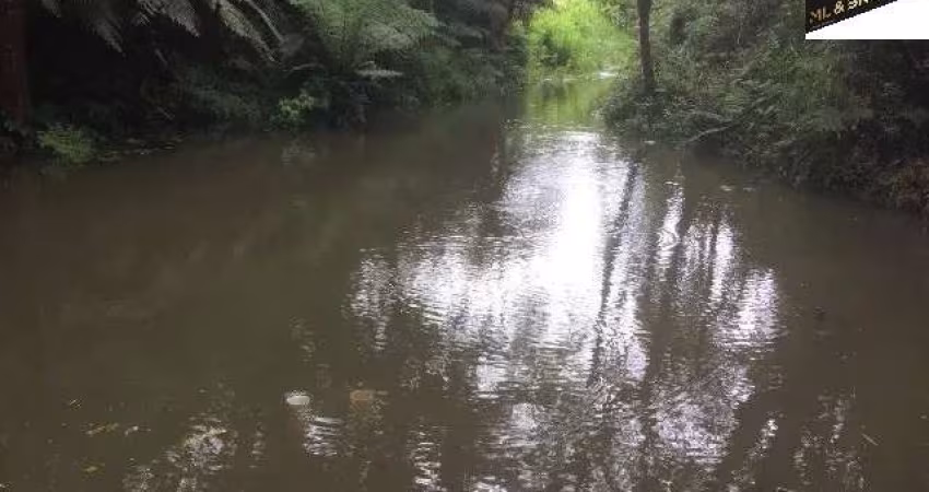 Sítio / Chácara para Venda no bairro PAPANDUVA em São José dos Pinhais, 46000 m² de área total, 46000 m² privativos,