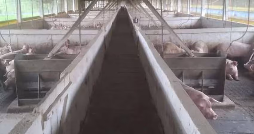 Sítio / Chácara para Venda no bairro Zona Rural em RIO DO CAMPO, 3 quartos, 3 vagas, 60000 m² de área total, 60000 m² privativos,