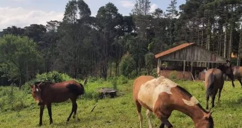 Sítio / Chácara para Venda no bairro ZONA RURAL em QUATRO BARRAS, 3 quartos, 5 vagas, Semi-Mobiliado, 16200 m² de área total, 16200 m² privativos,