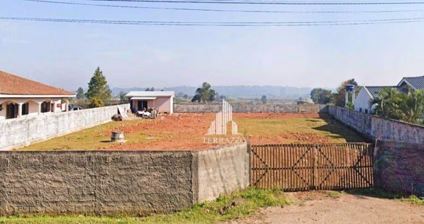 Terreno para alugar, 2030 m² por R$ 2.000,00/mês - Miringuava - São José dos Pinhais/PR