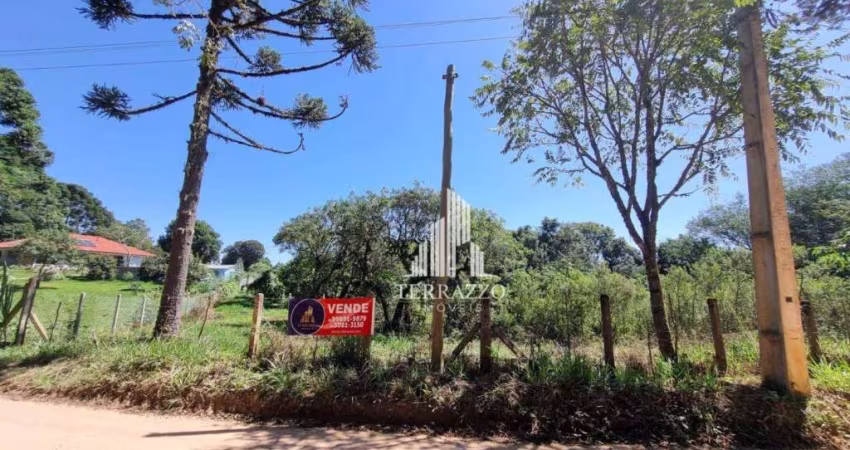 Chácara à venda, 11880 m² por R$ 650.000,00 - Area Rural - São José dos Pinhais/PR