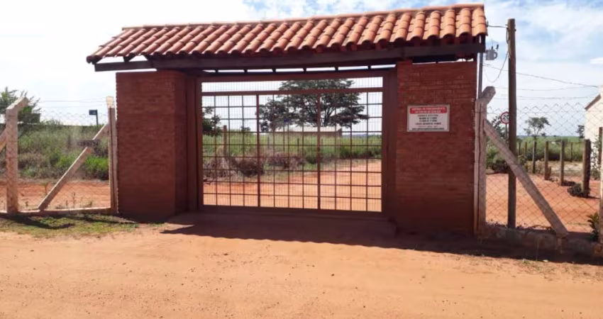 Sitio Para Venda No Município Uberlândia