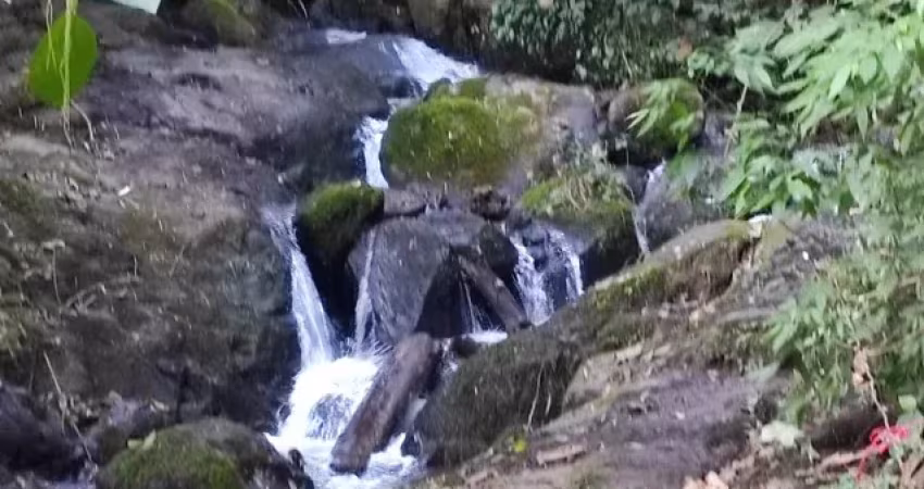 SÍTIO COM 5.9 HECTARES EM SÃO FRANCISCO XAVIER, S.P