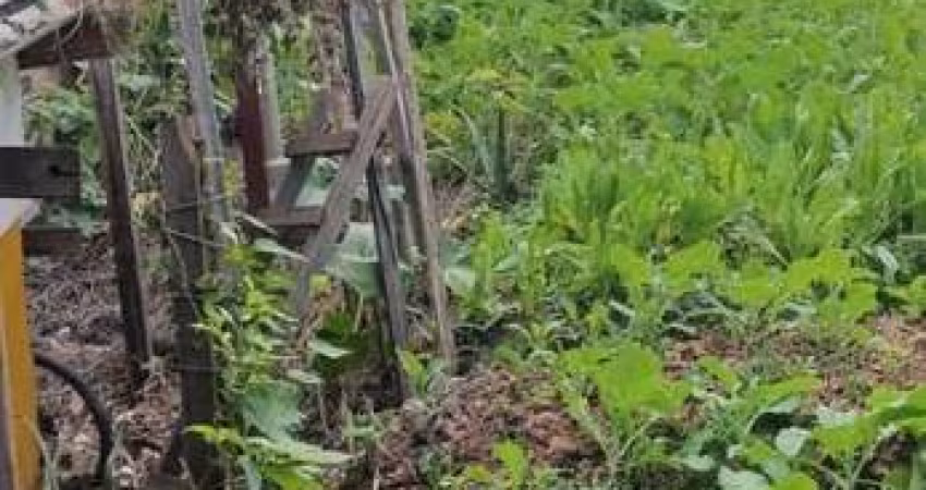 Terreno à venda na Rua Jorge Morais, Parque Bristol, São Paulo - SP