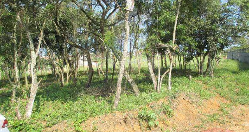 Terreno à venda, 36155 m² por R$ 1.900.000,00 - Vila São Pedro - Suzano/SP