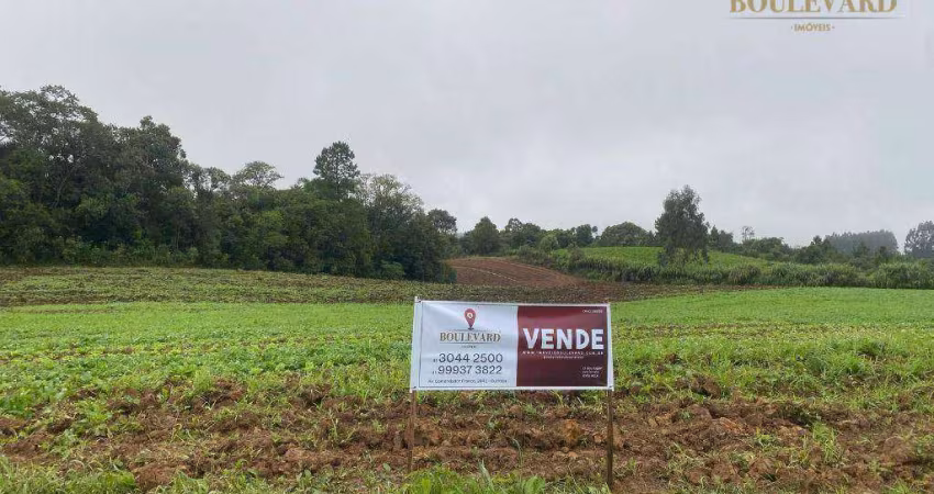 Chácara à venda, 121000 m² por R$ 770.000,00 - Zona Rural - Tijucas do Sul/PR