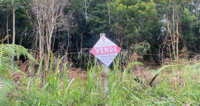 Chácara à venda, 30855 m² por R$ 1.499.000 - Colônia Malhada - São José dos Pinhais/PR