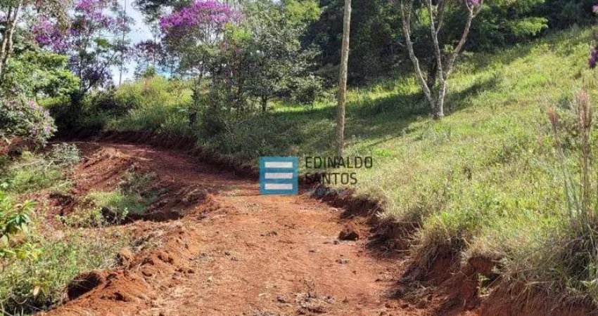 Terreno à venda, 1400 m² por R$ 50.000,00 - Centro - Piau/MG