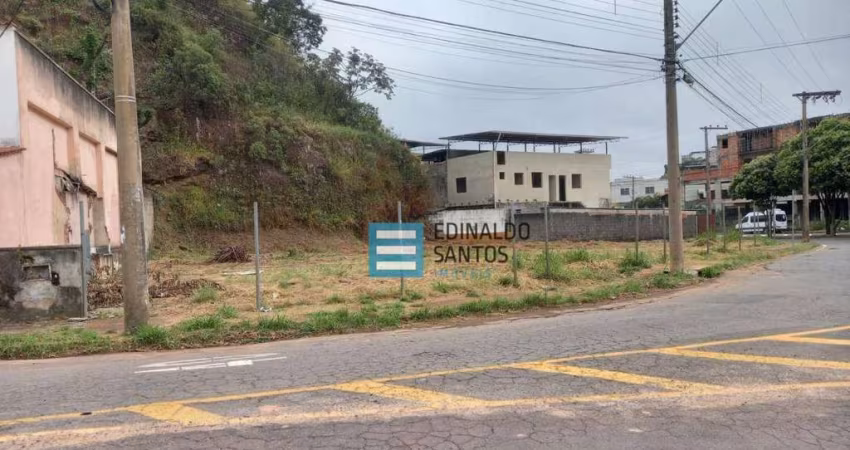Terreno à venda, 790 m² por R$ 750.000,00 - Nova Benfica - Juiz de Fora/MG
