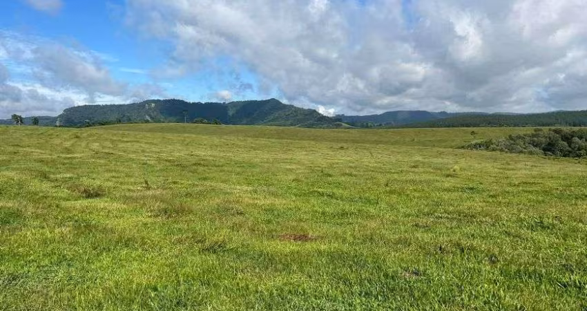Terreno com 1403600 m² (58 Alqueires) 15 km da BR 116 - Zona Rural - Papanduva - SC