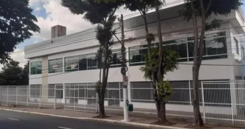 Imóvel para aluguel com 2000 metros quadrados em Cidade Patriarca - São Paulo - SP