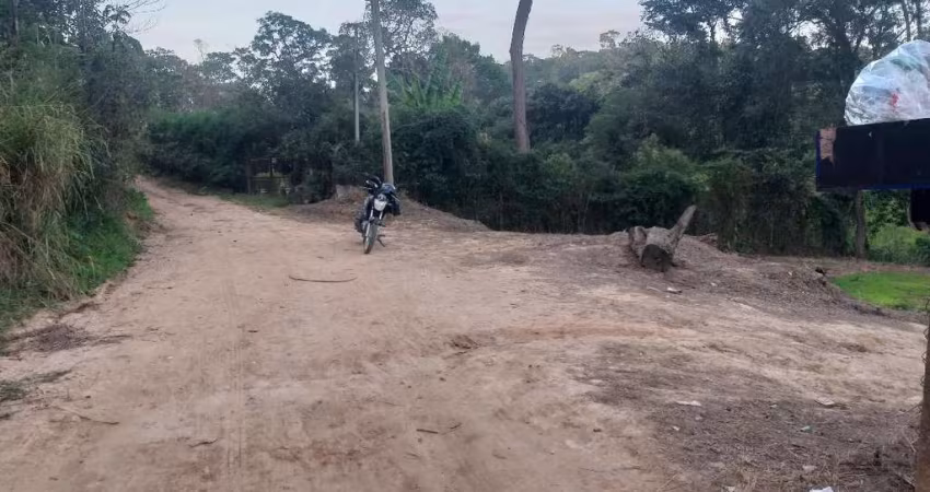 TERRENO COM NASCENTE