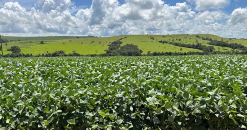 Fazenda próximo a Leopoldo de Bulhões