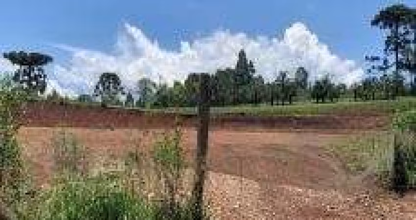 Terreno para Venda em Guarapuava, Morro Alto