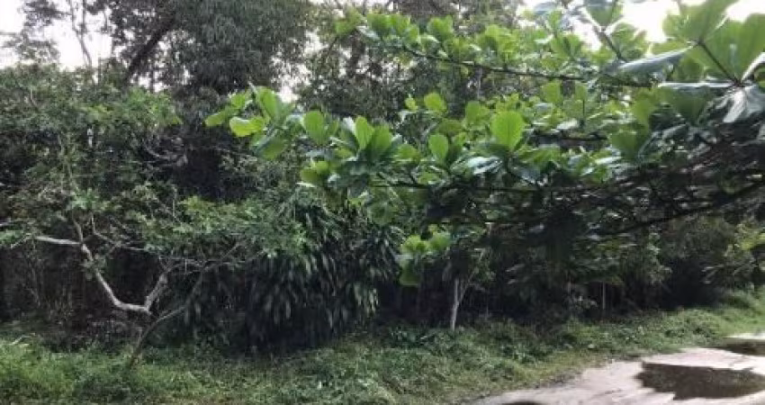 Chácara para Venda, Itanhaém / SP