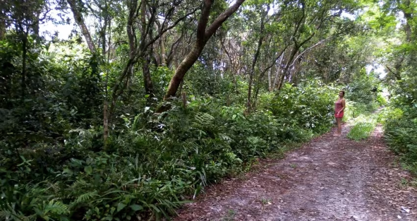 Terreno Jardim Marambá 2, Itanhaém / SP