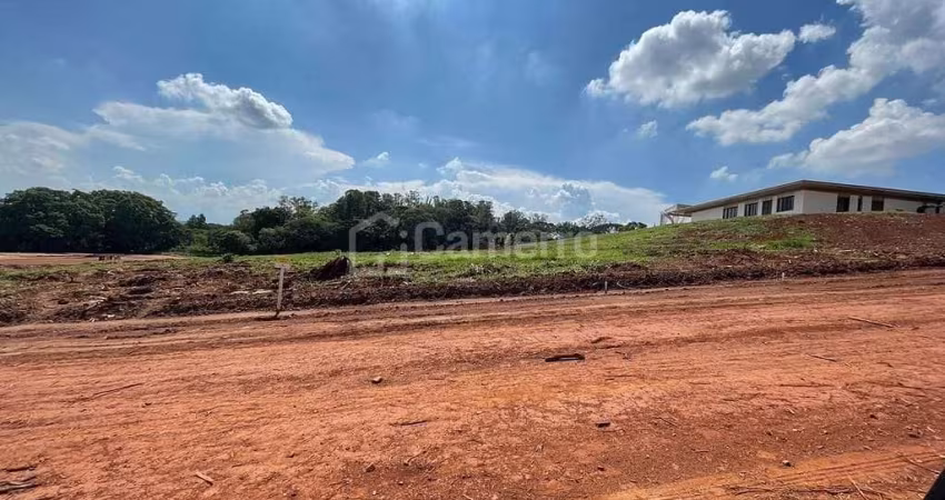 Terreno à venda, 449 m² por R$ 659.000,00 - Vila Romi - Santa Bárbara D'Oeste/SP