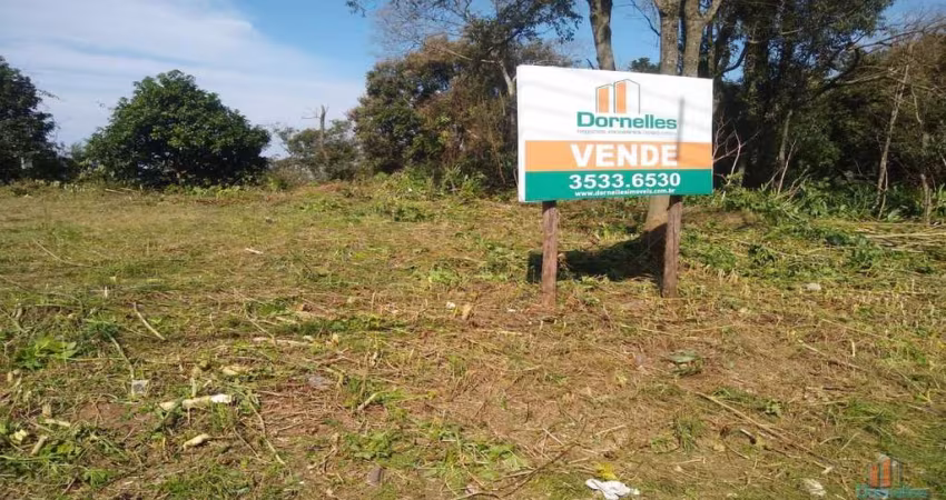 Terreno à venda na Rua General Câmara, Panazzolo, Caxias do Sul