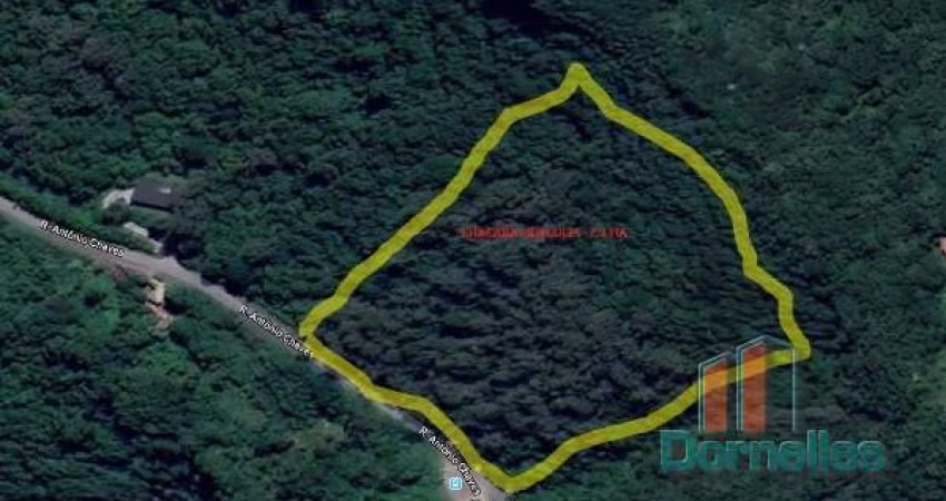 Chácara / sítio à venda na Antonio Chaves, Galópolis, Caxias do Sul