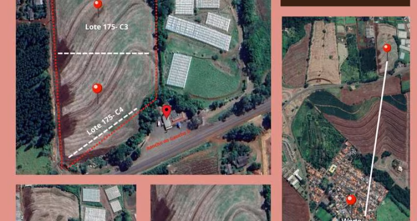 Chácara para Venda em Londrina, Warta