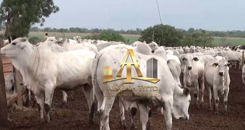 Fazenda com 1 dormitório à venda, 112000000 m² por R$ 650.000.000,00 - Mansões Concordia - Unaí/MG