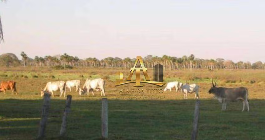 Fazenda à venda no Pantanal Cáceres - MT.