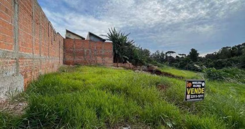 Terreno à venda, 250 m² por R$ 100.000 - Rolândia - Rolândia/PR